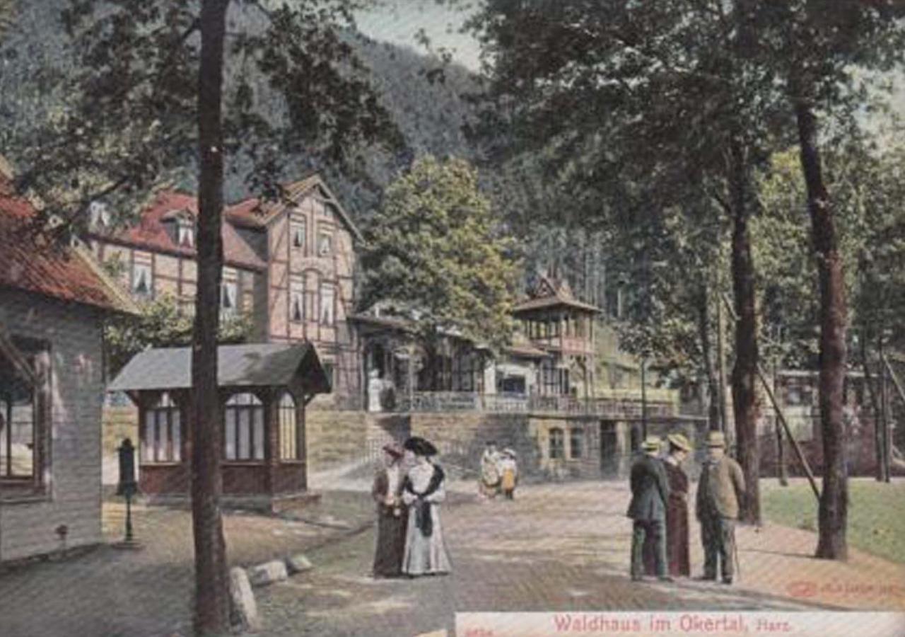 Hotel Waldhaus Im Okertal Goslar Exterior foto
