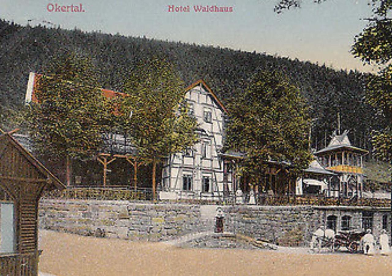 Hotel Waldhaus Im Okertal Goslar Exterior foto